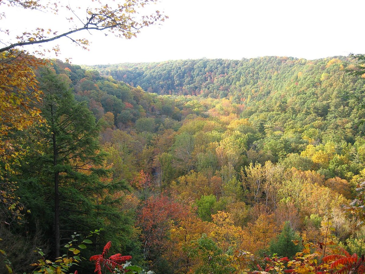 Ashland, VA - Hanover Township (comtat d'Ashland) - Viquipèdia, l'enciclopèdia lliure